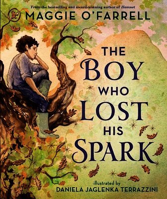 Maggie O'Farrell - Boy Who Lost His Spark, Häftad