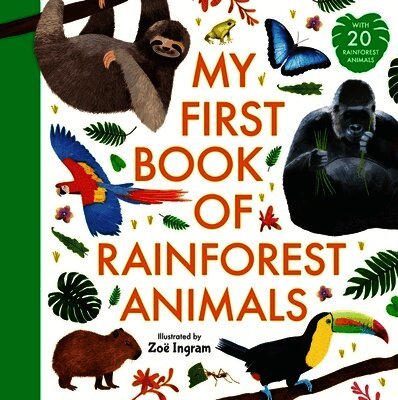 My First Book of Rainforest Animals
