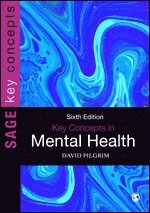 bokomslag Key Concepts in Mental Health
