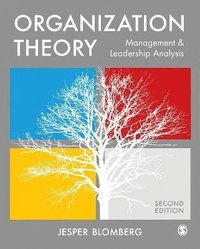 bokomslag Organization Theory: Management and Leadership Analysis