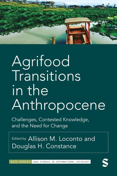 bokomslag Agrifood Transitions in the Anthropocene