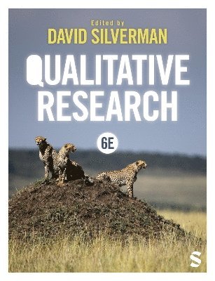 bokomslag Qualitative Research
