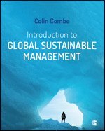 bokomslag Introduction to Global Sustainable Management