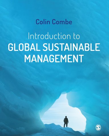 bokomslag Introduction to Global Sustainable Management