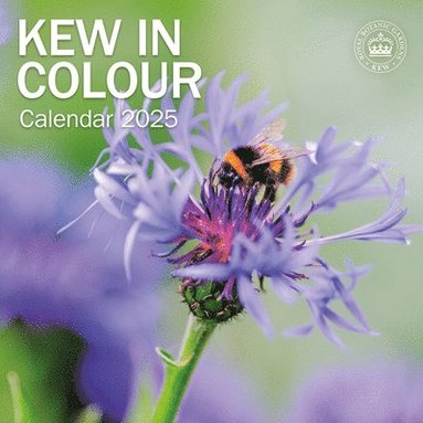 bokomslag Royal Botanic Gardens Kew, Kew In Colour Square Wall Calendar 2025