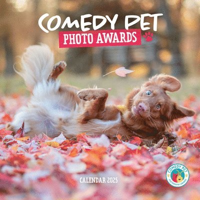 Comedy Pet Photography Awards Square Wall Calendar 2025 1