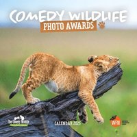 bokomslag Comedy Wildlife Photography Awards Square Wall Calendar 2025