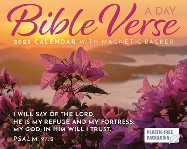 bokomslag Bible Verse A Day Mini Box Calendar 2025