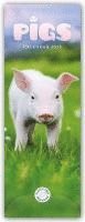 bokomslag Pigs Slim Calendar 2025