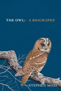 bokomslag The Owl
