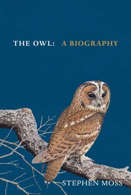 The Owl 1