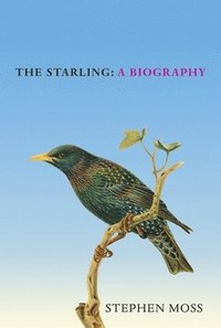 bokomslag The Starling