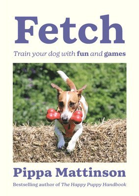 Fetch 1