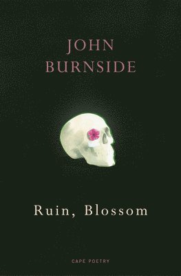 John Burnside - Ruin, Blossom, Häftad