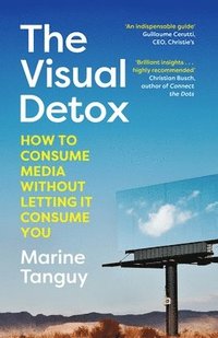 bokomslag The Visual Detox