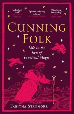 bokomslag Cunning Folk