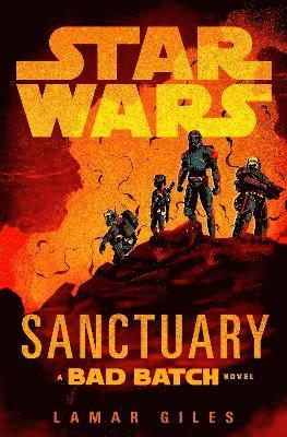 bokomslag Star Wars: Sanctuary