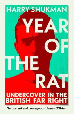 Year of the Rat