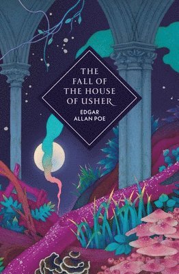 bokomslag The Fall of the House of Usher and Other Stories