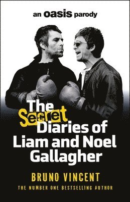 Bruno Vincent - The Secret Diaries of Liam and Noel Gallagher, Inbunden