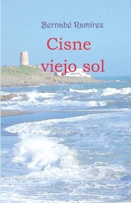 bokomslag Cisne viejo sol