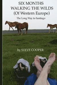 SIX MONTHS WALKING THE WILDS (Of Western Europe): The Long Way to Santiago