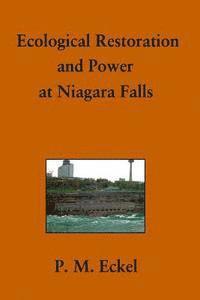 bokomslag Ecological Restoration and Power at Niagara Falls