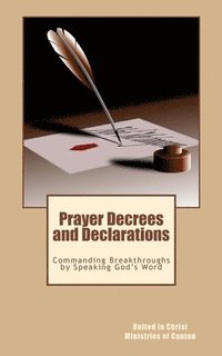 bokomslag Prayer Decrees and Declarations