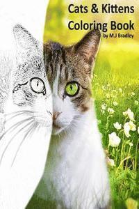 bokomslag Cats & Kittens: Coloring Book