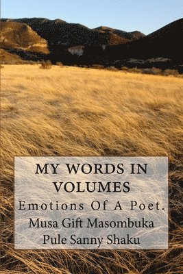 My Words In Volumes: Emotions Of A Poet 1