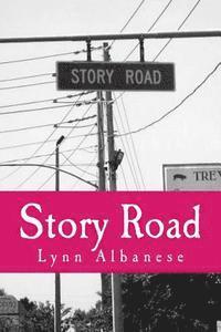 bokomslag Story Road