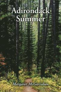 bokomslag Adirondack Summer