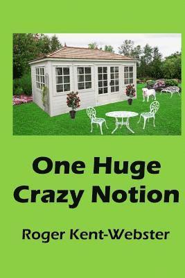 One Huge Crazy Notion: A romantic ghost and reincarnation novel 1