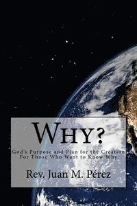 bokomslag Why?: God's Purpose and Plan for the Creation For Those Who Want to Know Why