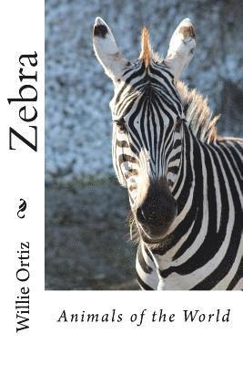 Zebra: Animals of the World 1