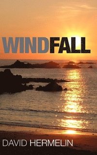 bokomslag Windfall