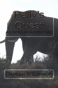 bokomslag Pelly's Quest: An African Adventure