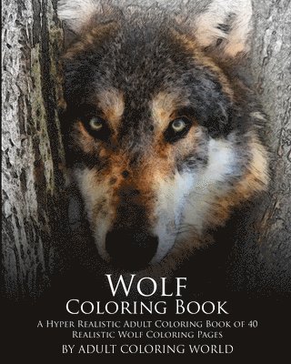 Wolf Coloring Book: A Hyper Realistic Adult Coloring Book of 40 Realistic Wolf Coloring Pages 1