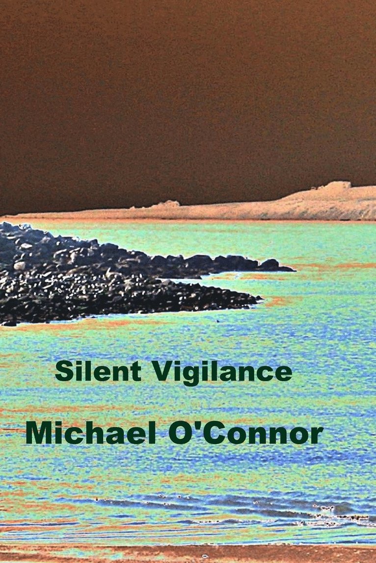 Michael O'Connor - Silent Vigilance, Häftad