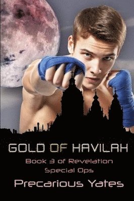 bokomslag Gold of Havilah