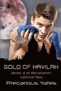 Gold of Havilah 1