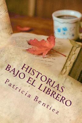 bokomslag Historias Bajo el Librero