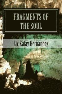 Fragments of the Soul 1