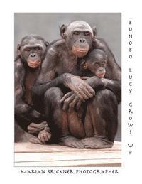 bokomslag Bonobo Lucy Grows Up