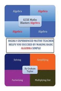 bokomslag GCSE MathsBlasters Algebra - The Basics: The Algebra Basics For Foundation Maths Made Simple
