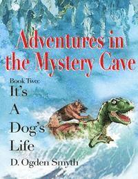 bokomslag Adventures in the Mystery Cave: It's A Dog's Life 2