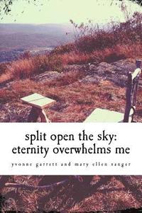 bokomslag split open the sky: eternity overwhelms me