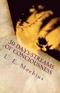 bokomslag 30 Days-Streams of Conciousness