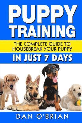 Puppy Training 1