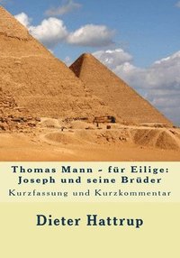bokomslag Thomas Mann - für Eilige: Joseph und seine Brüder: Kurzfassung und Kurzkommentar